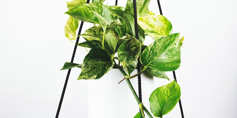 足球比赛赛后战报图文，球员庆祝胜利